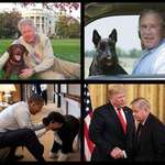 image for Presidents with their dogs.