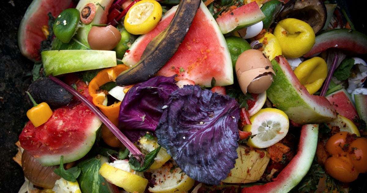 image for Study reveals food waste is worse than we thought â and which group is most to blame