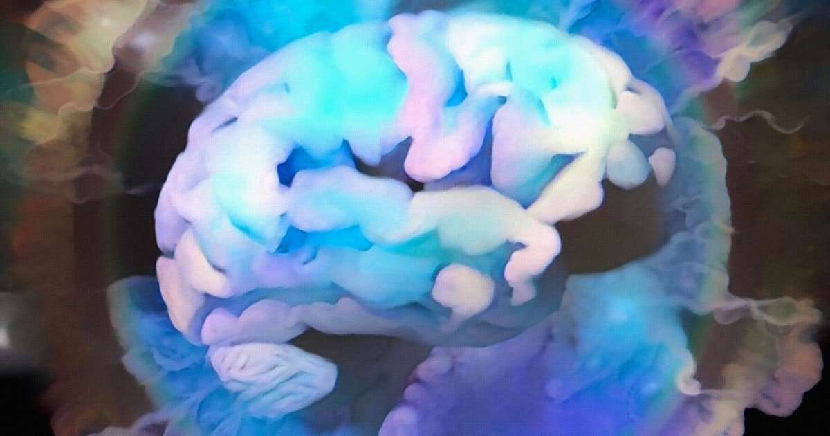 image for A tiny area of the brain may enable consciousness, says "exhilarating" study