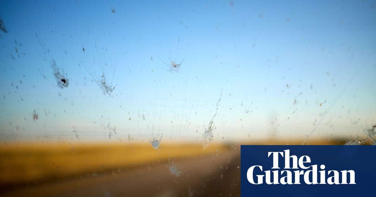 image for Car ‘splatometer’ tests reveal huge decline in number of insects