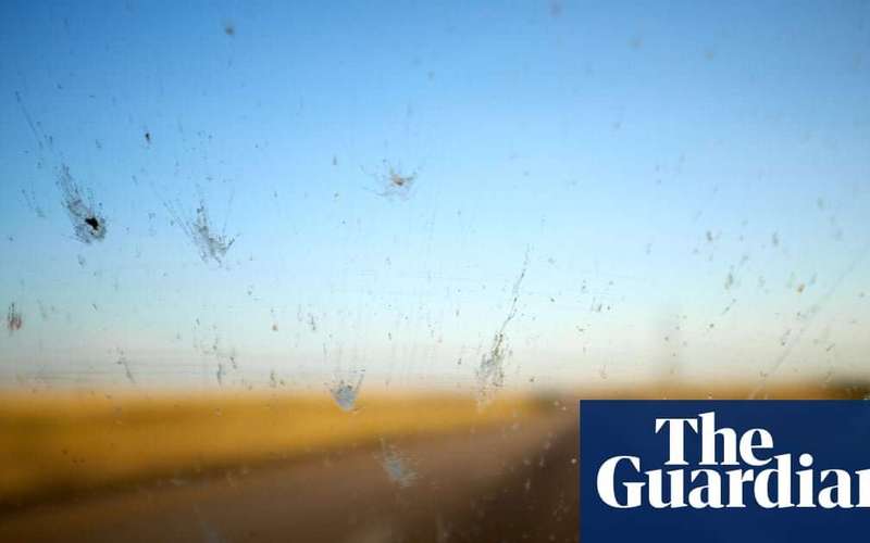 image for Car ‘splatometer’ tests reveal huge decline in number of insects