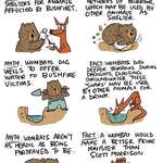 image for Myth vs Fact: Wombats and the Bushfires