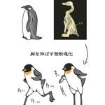 image for Thanks, I hate penguin legs.