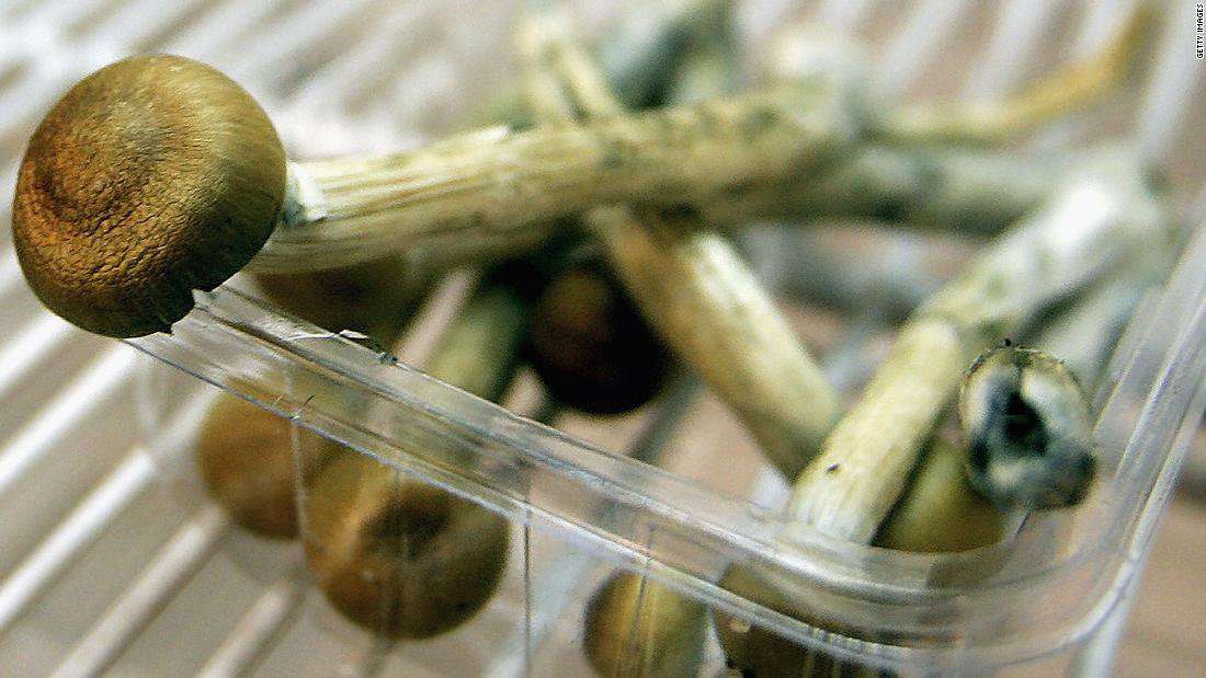 image for 'Magic mushroom' drug reduces anxiety and depression in cancer patients for five years