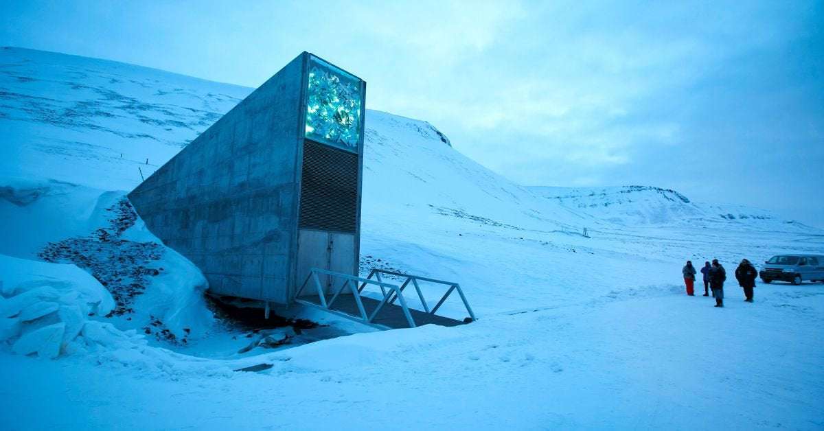 image for Upgraded doomsday vault gets new seed deposits