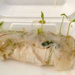 image for I left a summer roll on my desk for 4 days. The bean sprouts are sprouting.