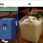 image for Cats are sixth state of matter