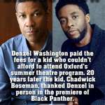 image for Washington, spent a few Washington’s and now we have an amazing Black Panther.