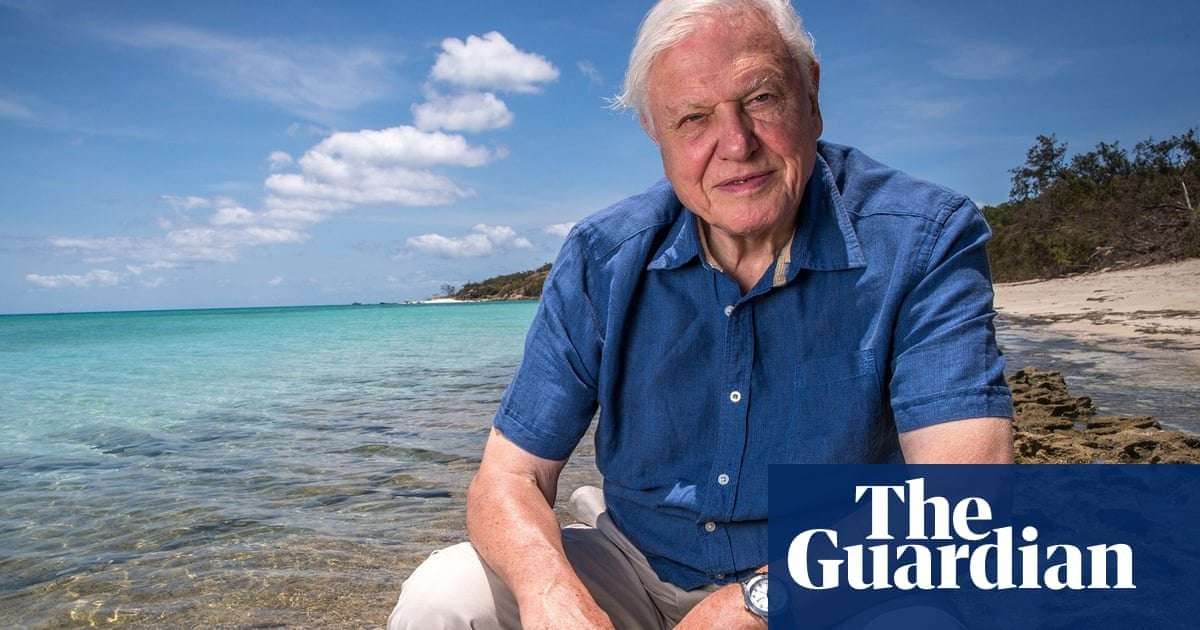 image for David Attenborough calls for ban on 'devastating' deep sea mining