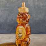 image for Honey Bear, me, oil on panel, 2020