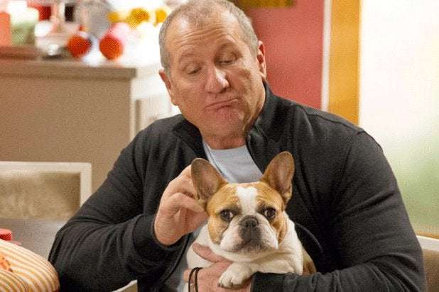 image for Beatrice, Beloved French Bulldog on ‘Modern Family,’ Dies After Series Finale Wrap