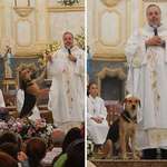 image for Priest shelters stray dogs then brings them to church so they can be adopted by attendees