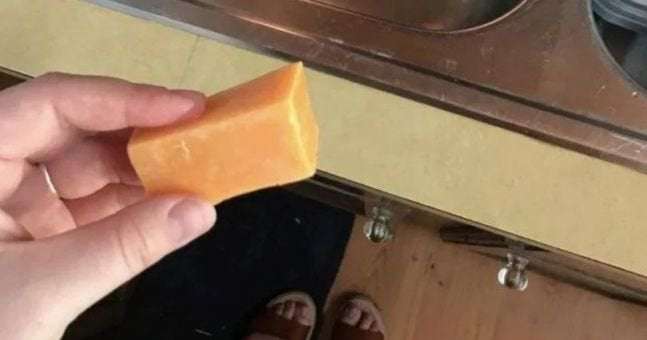image for Woman discovers bar of soap she’s been washing her hands with for days is block of cheese