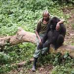 image for An anti-poaching ranger sitting with and comforting one of the young gorillas he protects after its mother died
