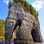 image for The Elephant Rock In New Zealand, before it lost its trunk due to an earthquake in 2016.
