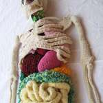 image for Fully equipped crocheted anatomy model