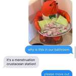 image for Menstruation Crustacean Station