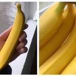 image for I bought some suspiciously perfect bananas yesterday