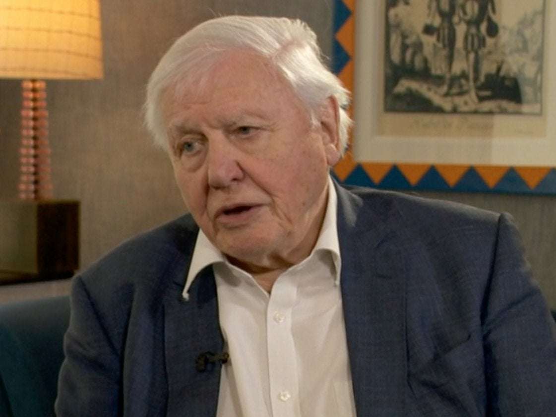 image for ‘Human beings have overrun the world’: David Attenborough calls for an end to waste in impassioned plea to address climate change