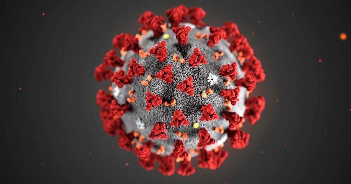 image for Coronavirus Has Now Killed More People in US than 2018-2019 Flu Season