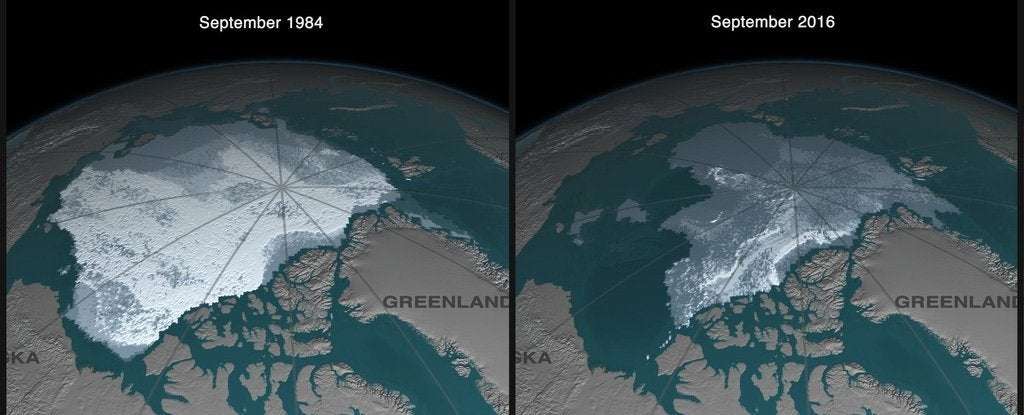 image for Devastating Simulations Say Sea Ice Will Be Completely Gone in Arctic Summers by 2050