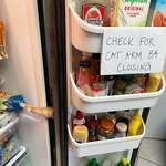 image for When a cat runs to the fridge every time it opens, a sign is necessary