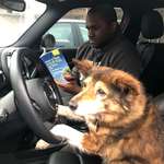 image for My dog is 16, so I figured it’s time for some driving lessons