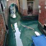 image for In Venice the pollution has reduced so much that even Louis Vuitton bags are starting to swim again