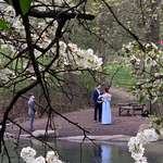 image for Came across this wedding today in Central Park