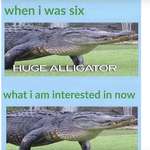 image for huge alligator