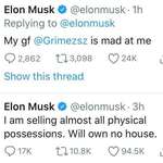 image for Everything Musk go