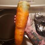 image for A carrot I bough today for $.69