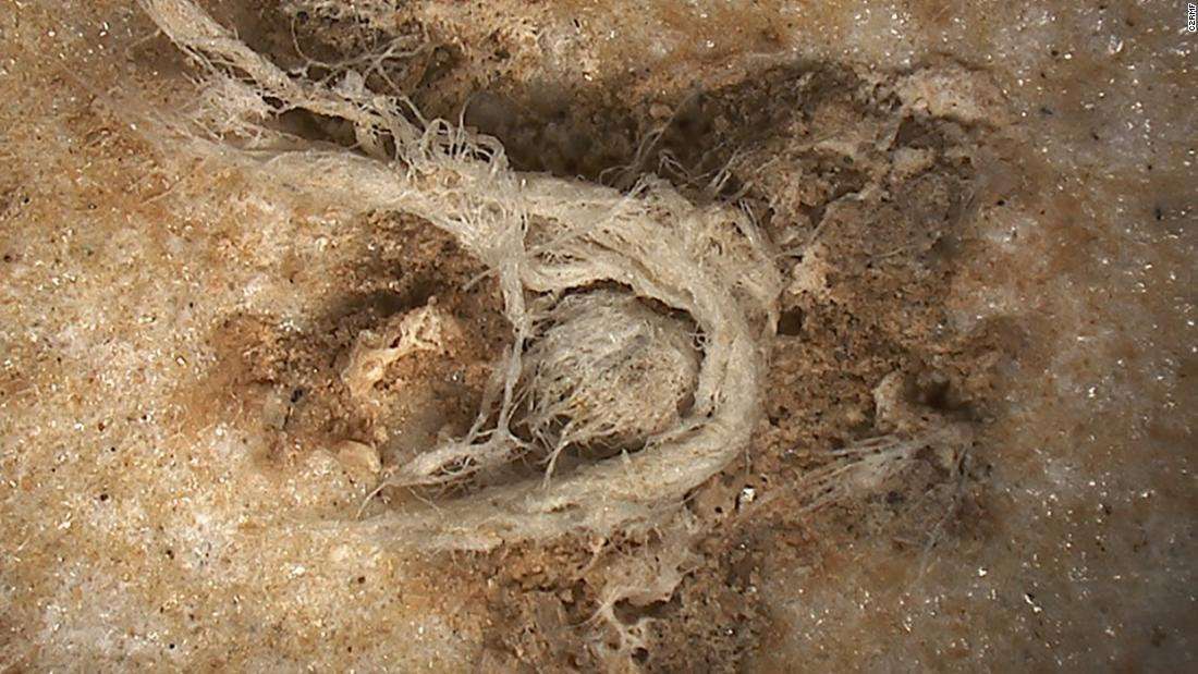 image for World's oldest yarn fragment shows Neanderthals were smarter than we thought