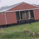 image for A whole crap load of Amish guys moving a barn.