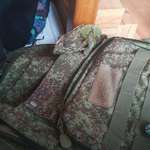 image for The way my chameleon hides on my military backpack