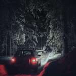image for I drove into a deep winter forest at night, and it looks like in some Stephen King story