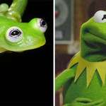 image for Scientists Have Discovered Real-Life Kermit The Frog Living In Costa Rica
