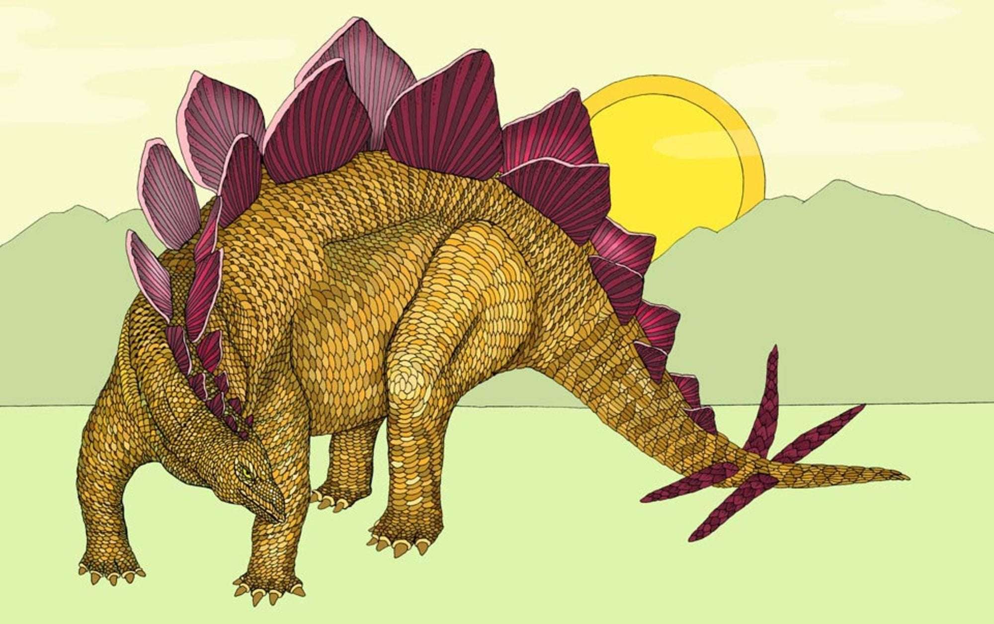 image for What’s a stegosaur for? Why life is design-like
