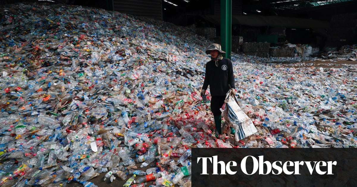 image for The end of plastic? New plant-based bottles will degrade in a year