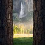 image for A misty morning view of Yosemite Falls (CA) during sunrise (OC) [1333x2000] @ross_schram