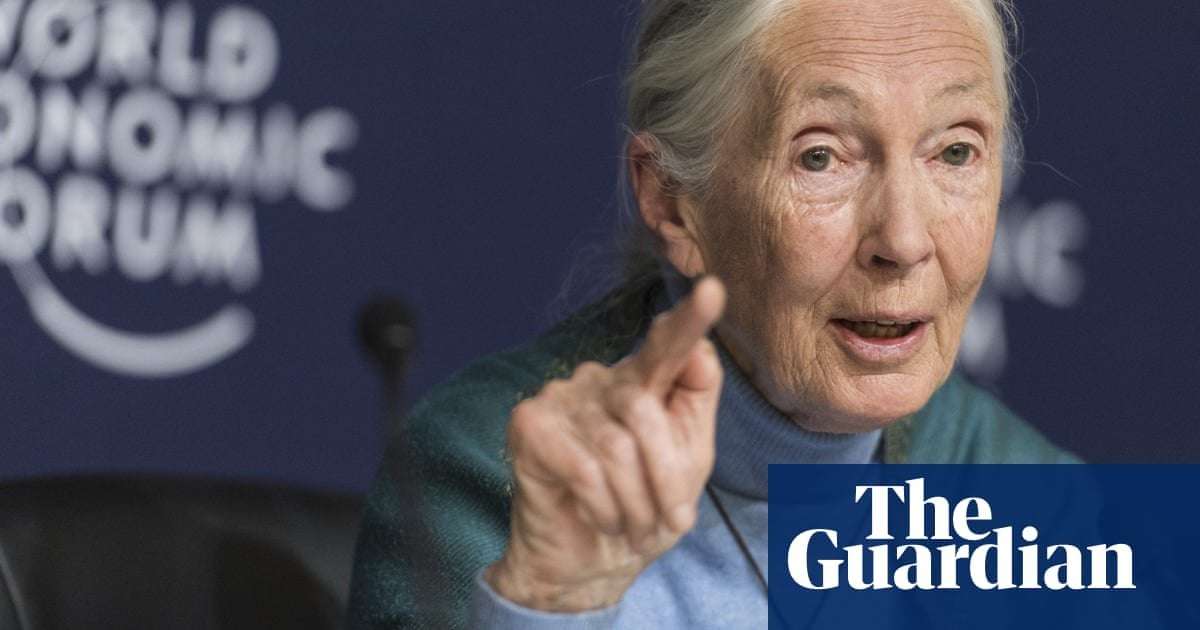 image for Jane Goodall: humanity is finished if it fails to adapt after Covid-19