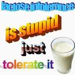 image for SLPT: lactose intolerance no more