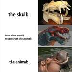 image for Damn that hippo skull