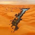 image for This is what an oasis in Libya looks like