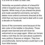 image for Controversy at the tiny horse therapy Facebook page
