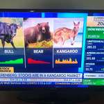 image for BREAKING: CNBC Officially Gives Up, Stocks Enter Kangaroo Market