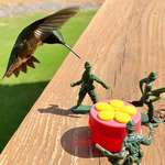 image for I put some Army men by my hummingbird feeder. The result was even better than anticipated.