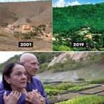 image for Couple planted more than 2 million trees over 20 years