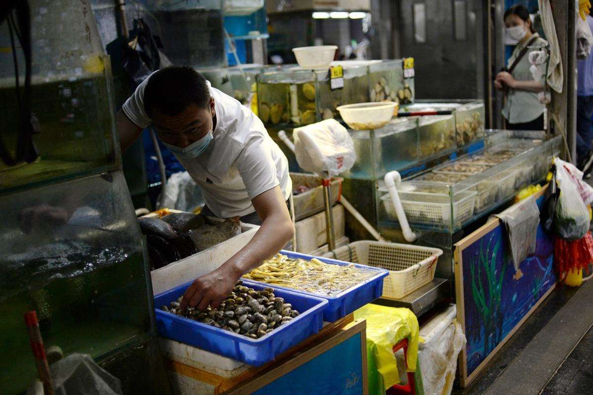 image for China finds heavy coronavirus traces in seafood, meat sections of Beijing food market