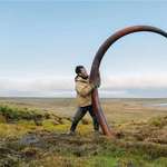 image for 🔥 Tusk of a woolly mammoth most likely killed by ancient hunters,Siberia.